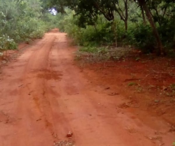 foto-lote-campina-grande-caetano-imoveis2