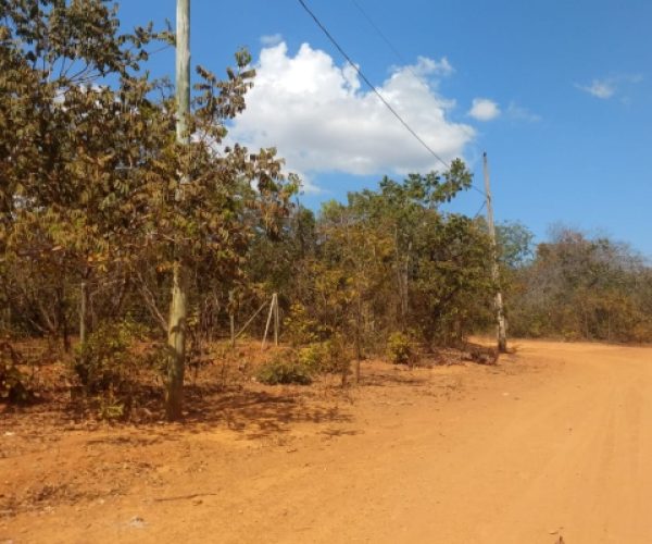 foto-lote-campina-grande-caetano-imoveis3