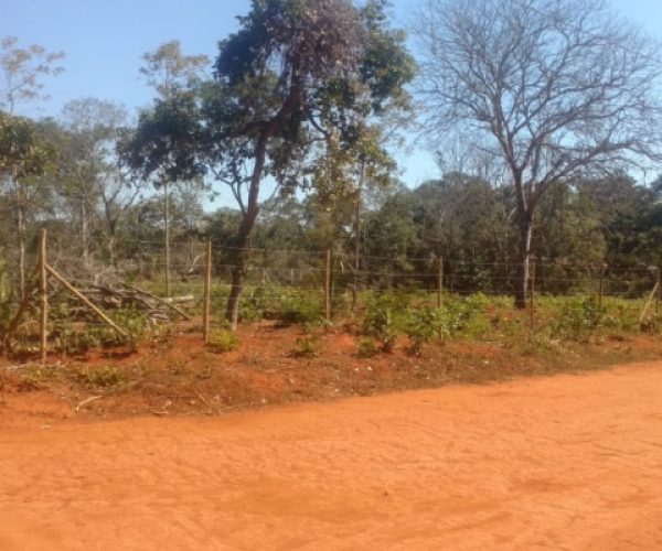 foto-lote-campina-grande-caetano-imoveis6