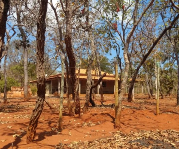 foto-lote-campina-grande-caetano-imoveis7