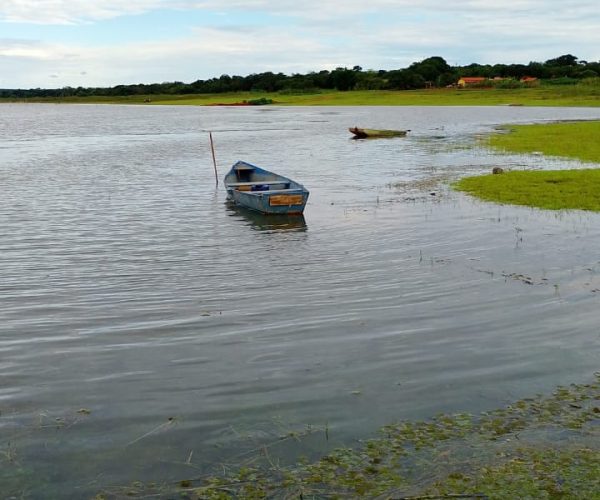 lote a venda em tres marias - são jose do buriti - Caetano Imóveis (24)