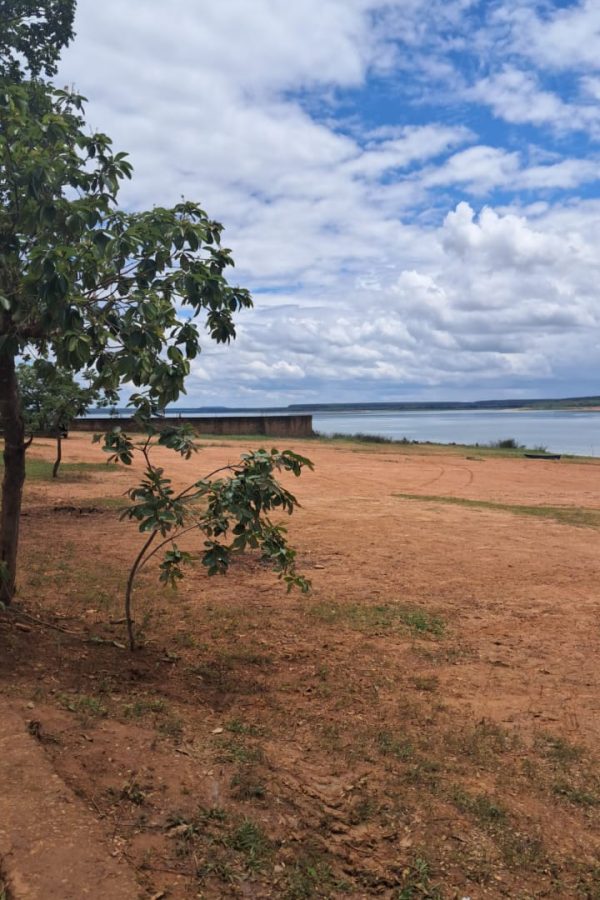 lote a venda em tres marias - são jose do buriti - Caetano Imóveis (7)